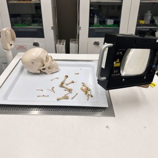 Evidence Tray White